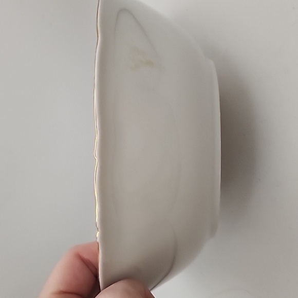 Vintage Royal Kent Poland China RKT23 9" Vegetable Bowl Roses - Picture 4 of 11